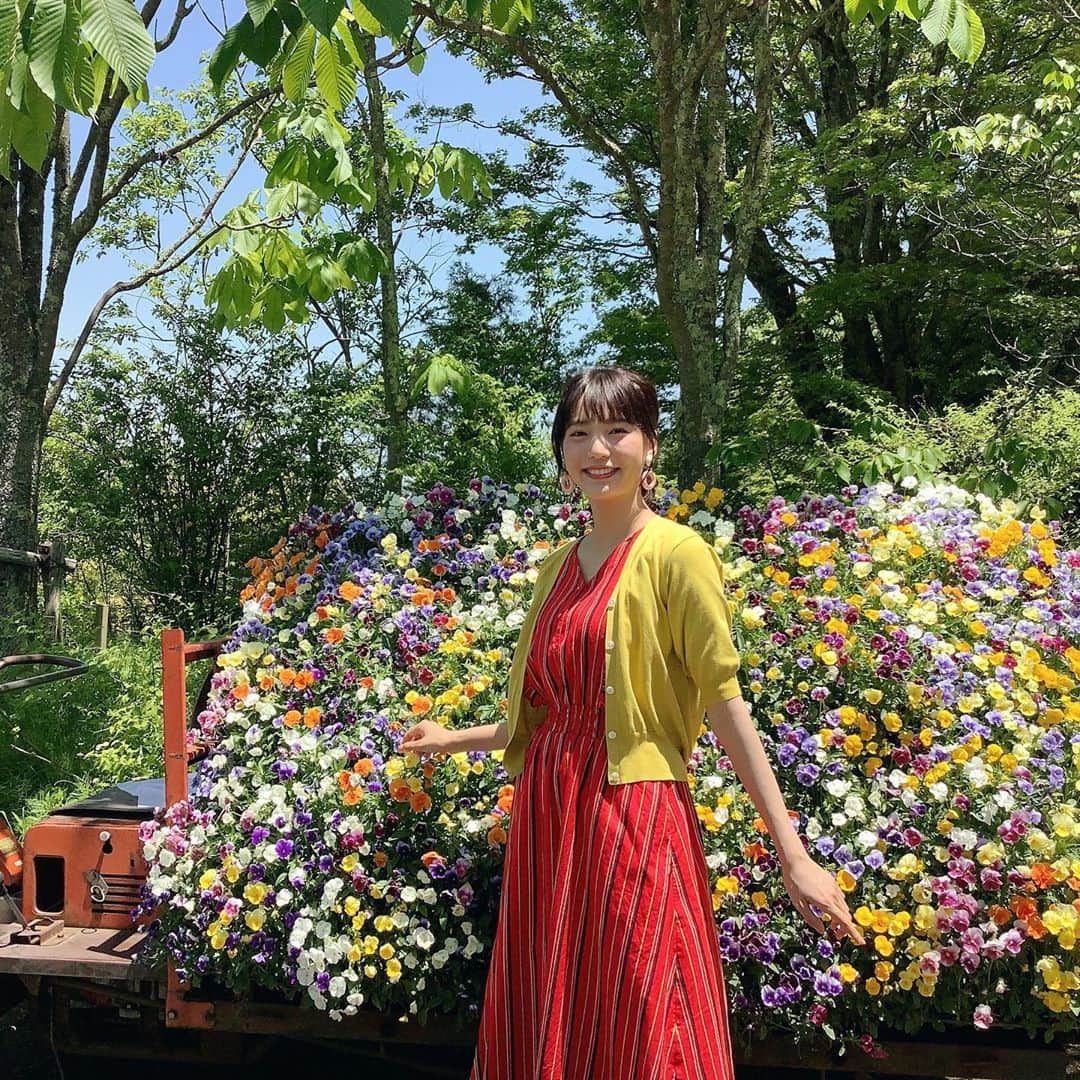 中川可菜的图片