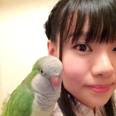 米泽圆的图片