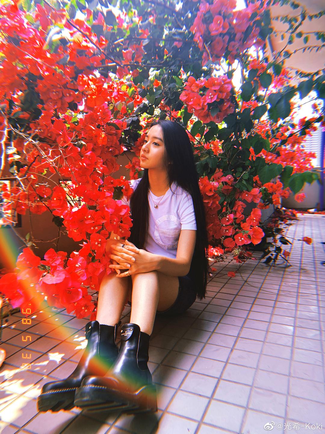 木村光希的图片