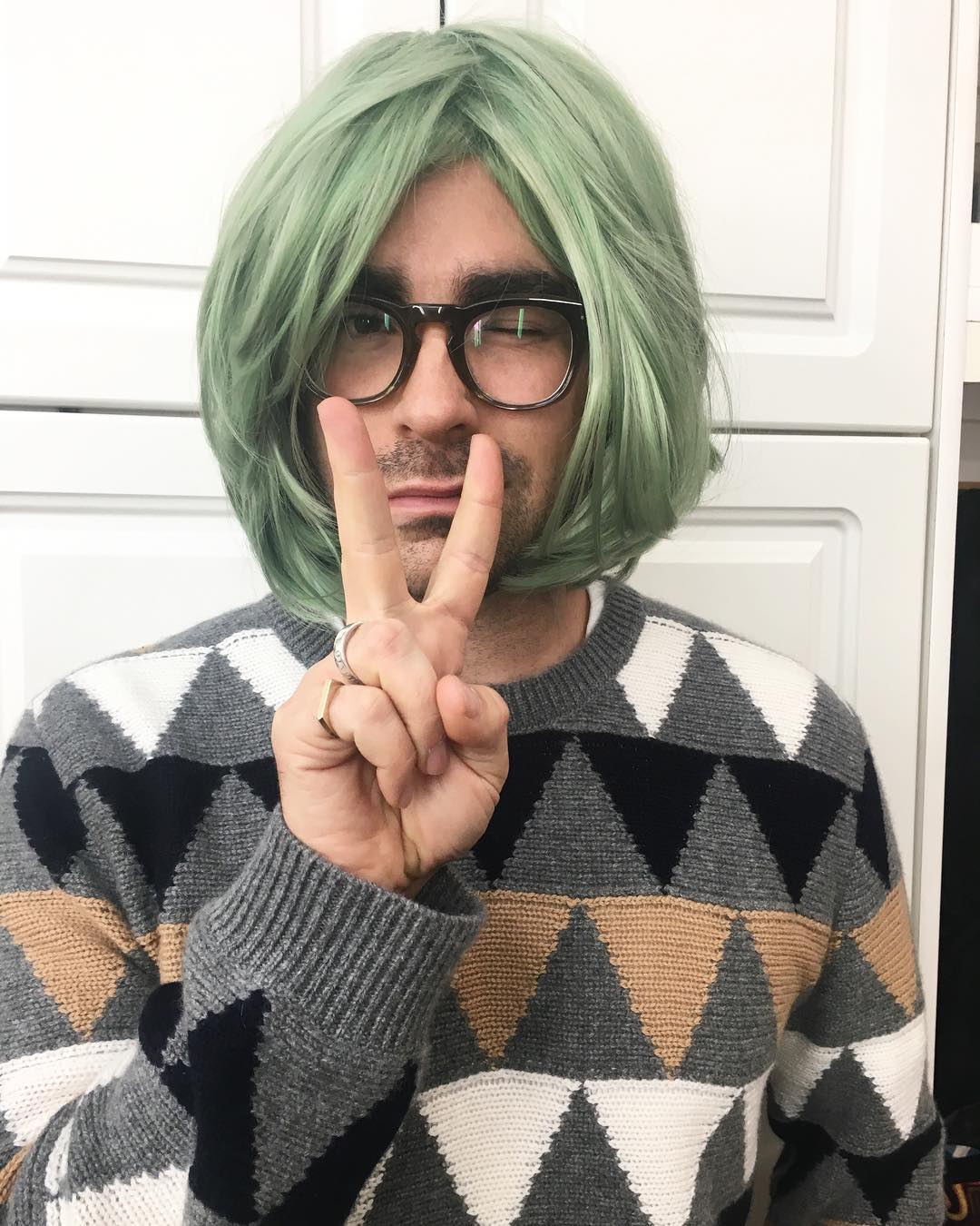 丹·列维的图片