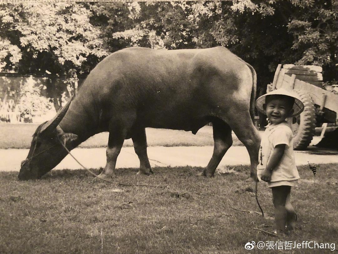 张信哲的图片