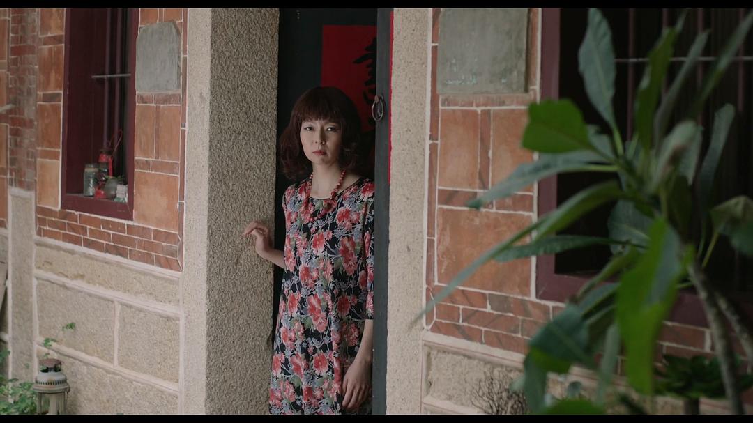 菜叶菜的图片