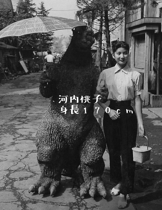 河内桃子的图片