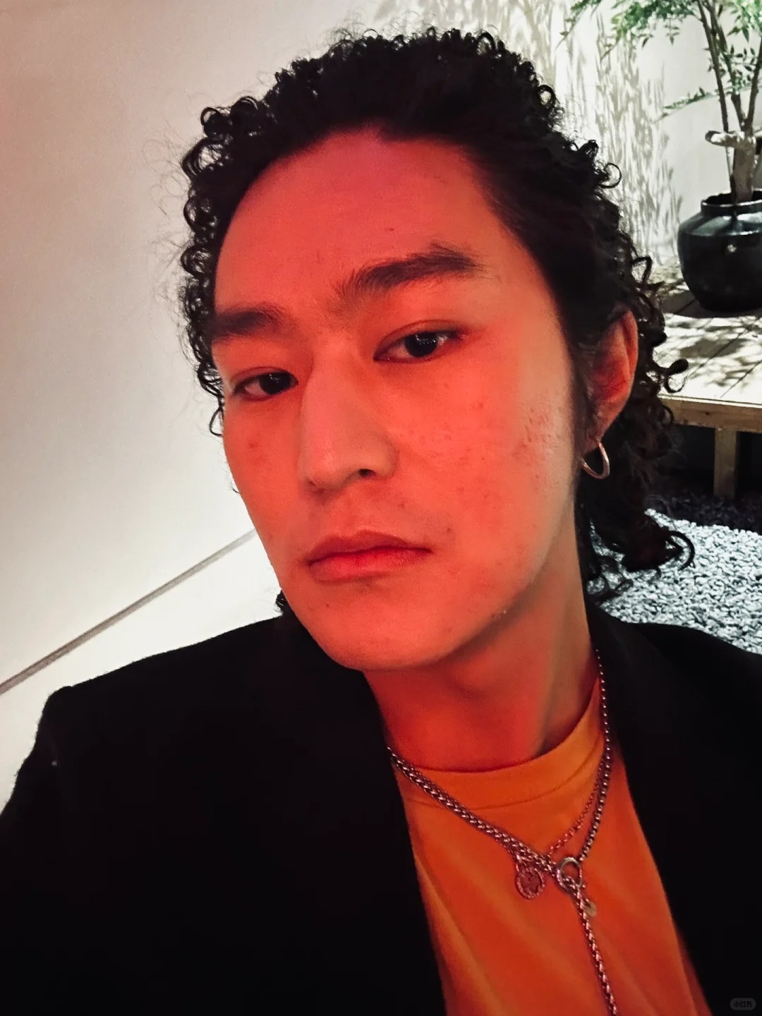 百力嘎的图片