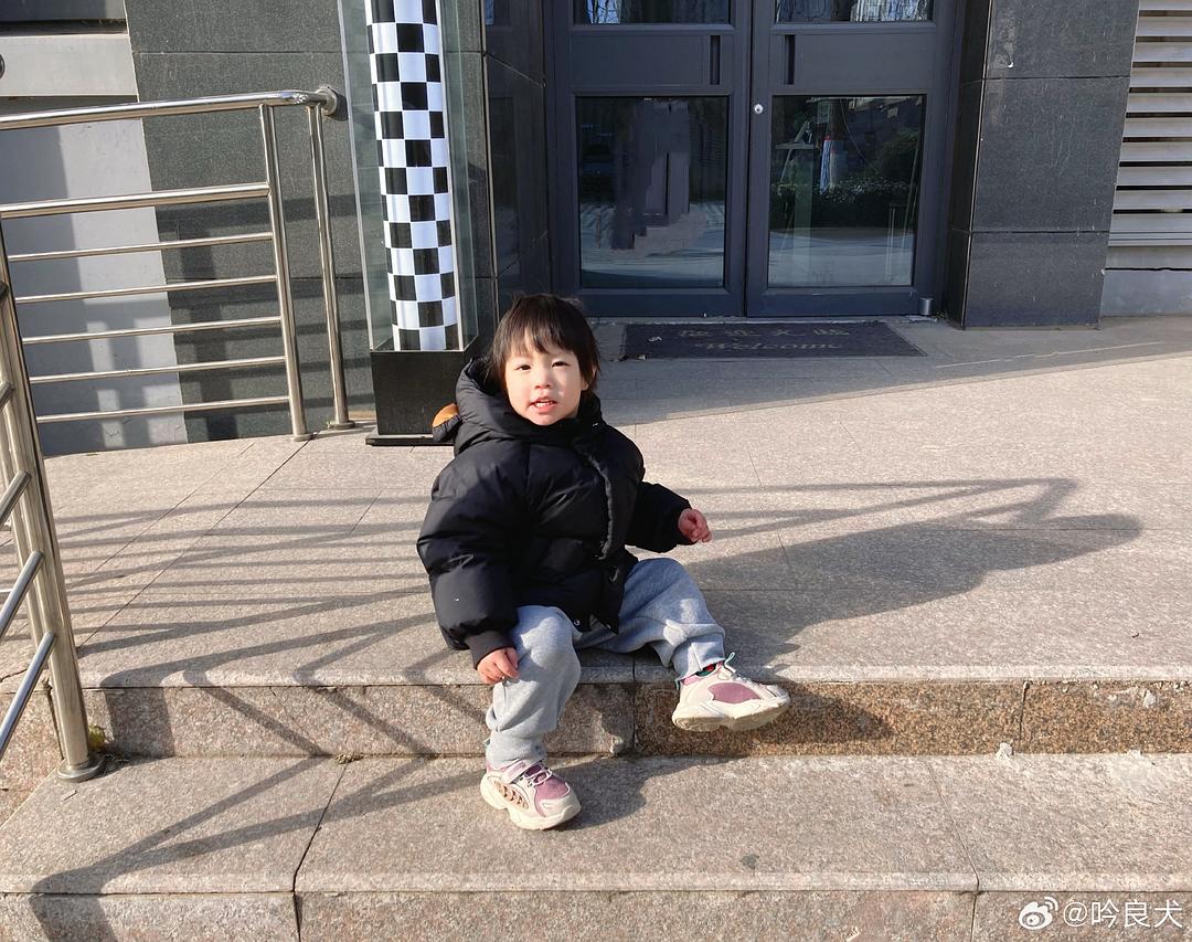 吟良犬的图片