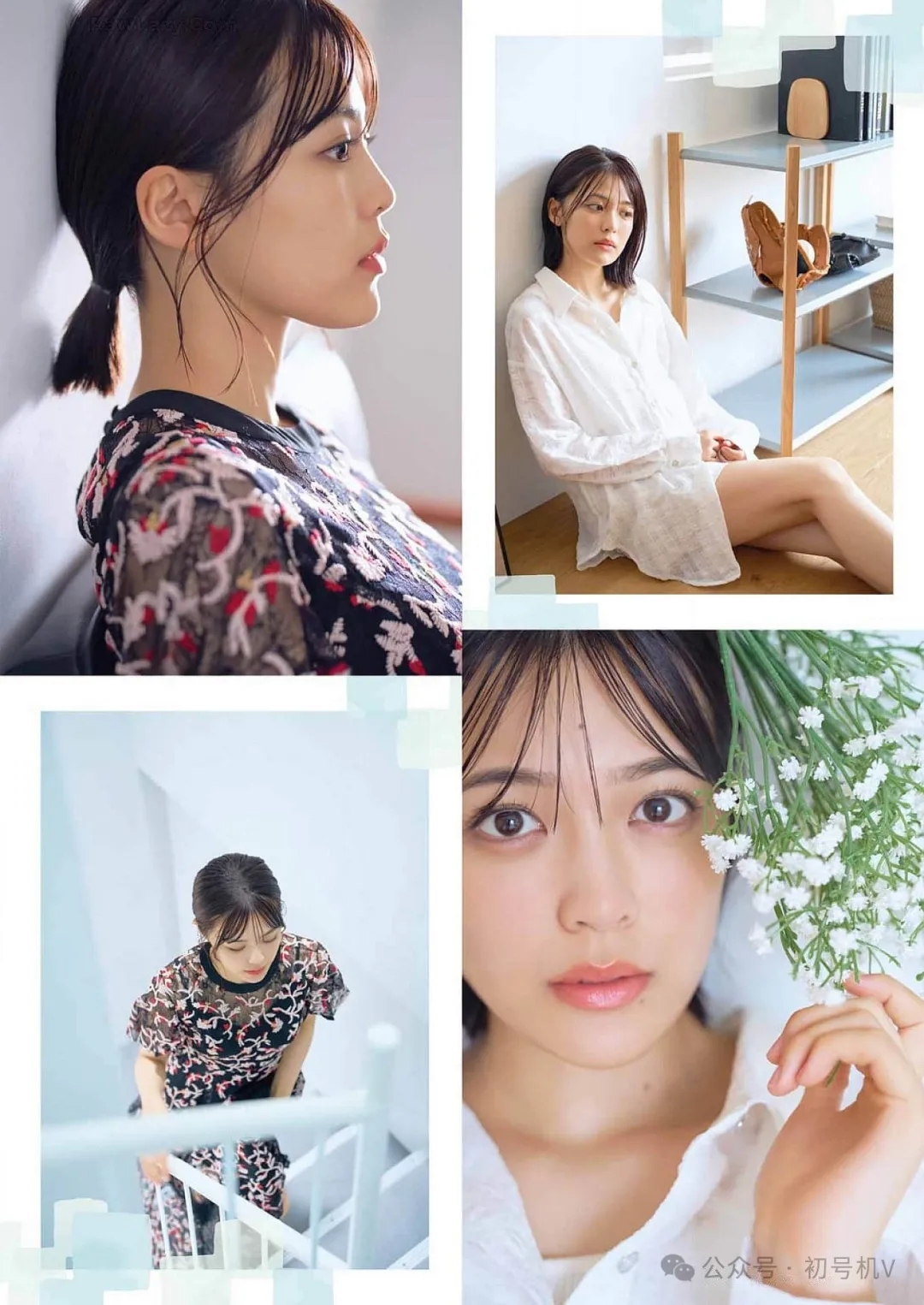 柴田柚菜的图片